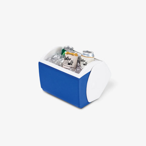 Playmate Pal - Blue / White