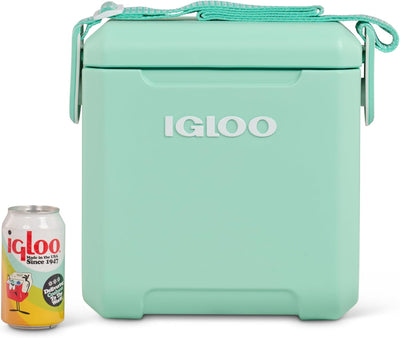 Aktie - Igloo Tag-a-Long Koelbox 10L - Groen || Amazon ||